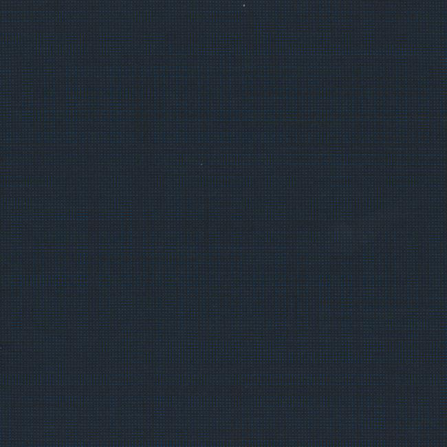 25021